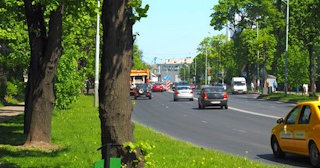 Посадка деревьев и кустарников в Волхове — стоимость от 1256 руб.